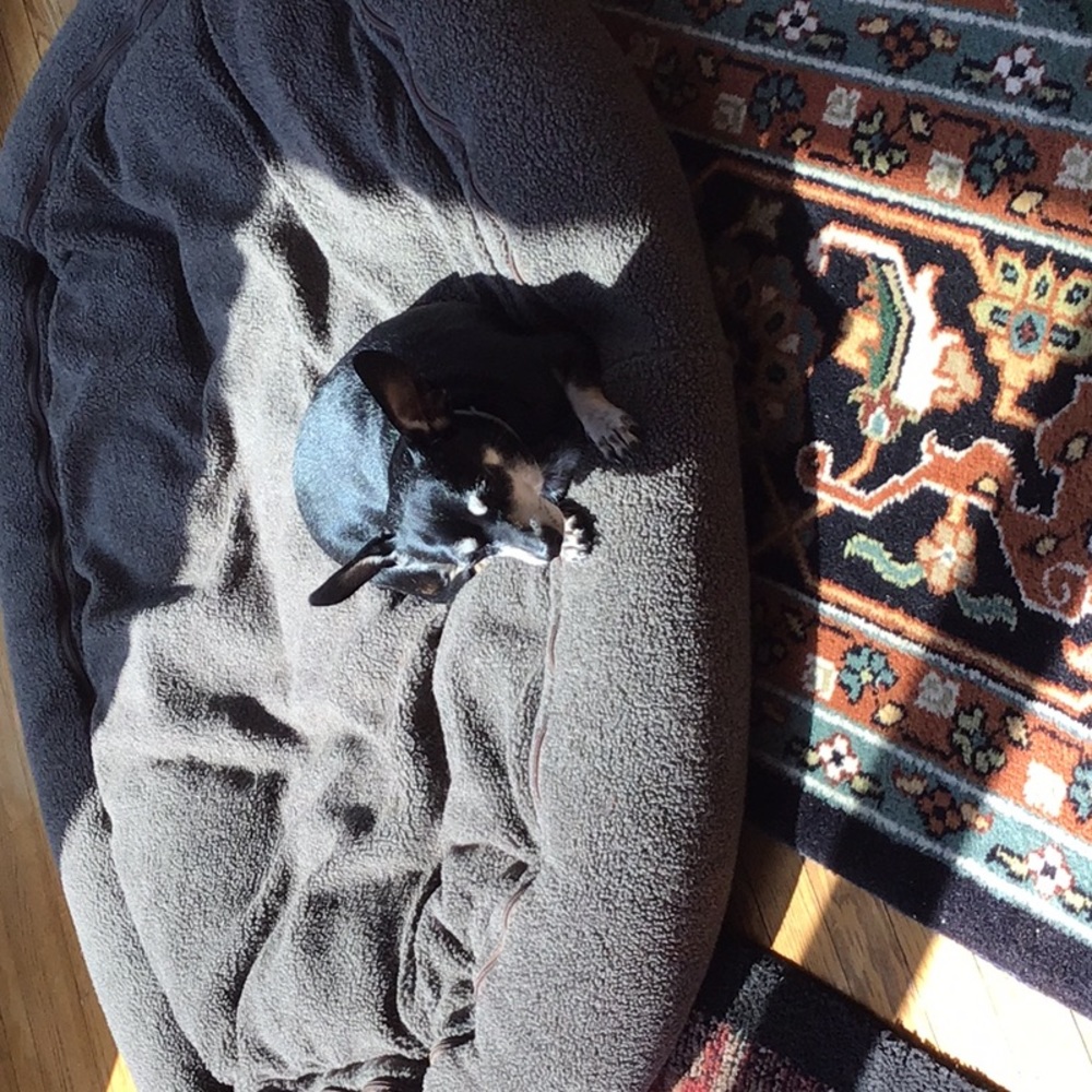 Meet your Posher, Pamela